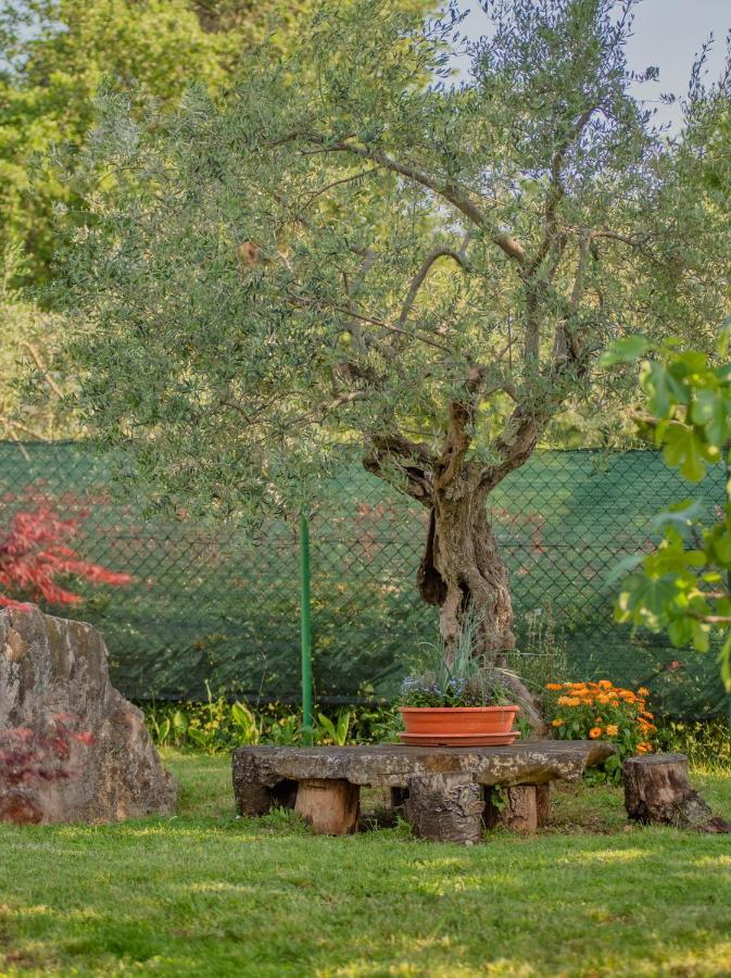 Studio App Luka-We Love Nature. Sveti Ivan  المظهر الخارجي الصورة