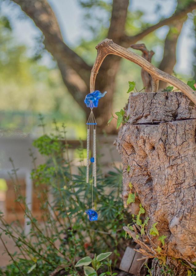 Studio App Luka-We Love Nature. Sveti Ivan  المظهر الخارجي الصورة